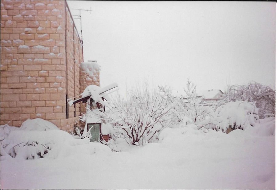 טחנת הרוח של סבא אביגדור התקשתה לשרוד את חורף 1992 צילום: עדי לנדאו (שחור)