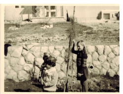 אורה קלין (מייזליש) נוטעת אורן בשורת האורנים ברחוב - ט"ו בשבט תשל"ד 1974