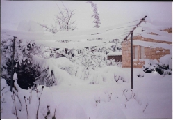תמונות השלג ברחבי היישוב