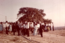 חופת מלכה (אנזל) וחננאל כהן ליד האלון - תשל"א, 1971