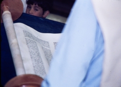 הכנסת ספרי התורה לבית הכנסת המרכזי