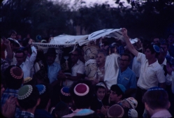 הכנסת ספרי התורה לבית הכנסת המרכזי