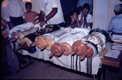 הכנסת ספרי התורה לבית הכנסת המרכזי