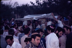 הכנסת ספרי התורה לבית הכנסת המרכזי