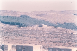 ראשית שנות השבעים -
מבט לדרום מזרח - 
קרוב: חלוקי הנחל (הארז) ובתים במעלה מיכאל
יותר רחוק: המיקימאוס ותחנת הכיבוי
מאחוריהן: יער אבו סודא (עז וגאו"ו)