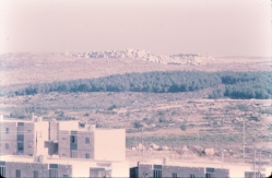 מבט מזרחה -
קרוב: בתי מעלה מיכאל ומאחוריהם משעול הורד
יותר רחוק: יער אבו סודא (עז וגאו"ן)
באופק: בית פג'אר