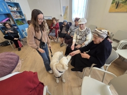 תמונות מפעילויות מועדון הוותיקים 'נחת רוח' במבצע 'שאגת הארי'